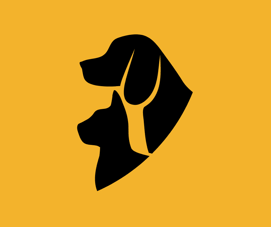 Building a Strong Brand for Your Pet Care Business