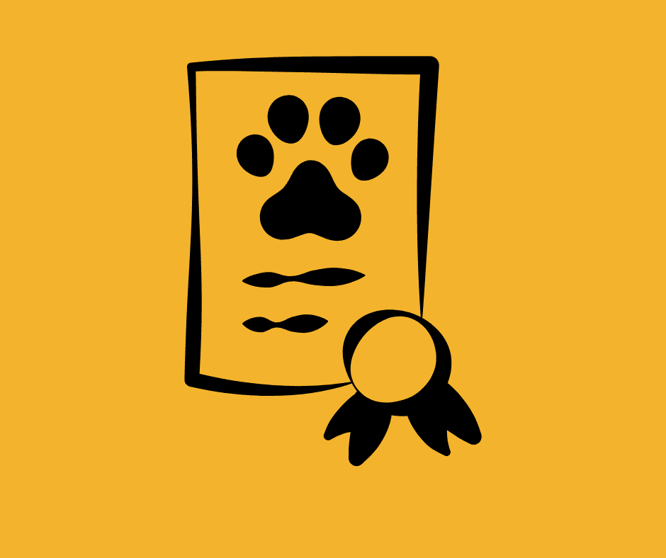 What Is the Easiest Pet to Take Care Of?