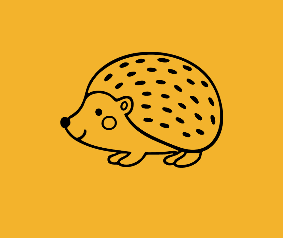How to Care for a Pet Hedgehog