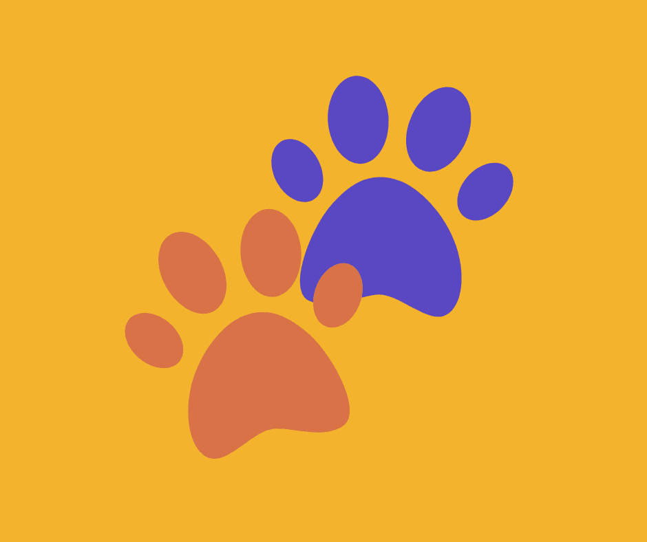 Marketplace for Pet Vendors: A Smarter Way to Grow Your Pet Business