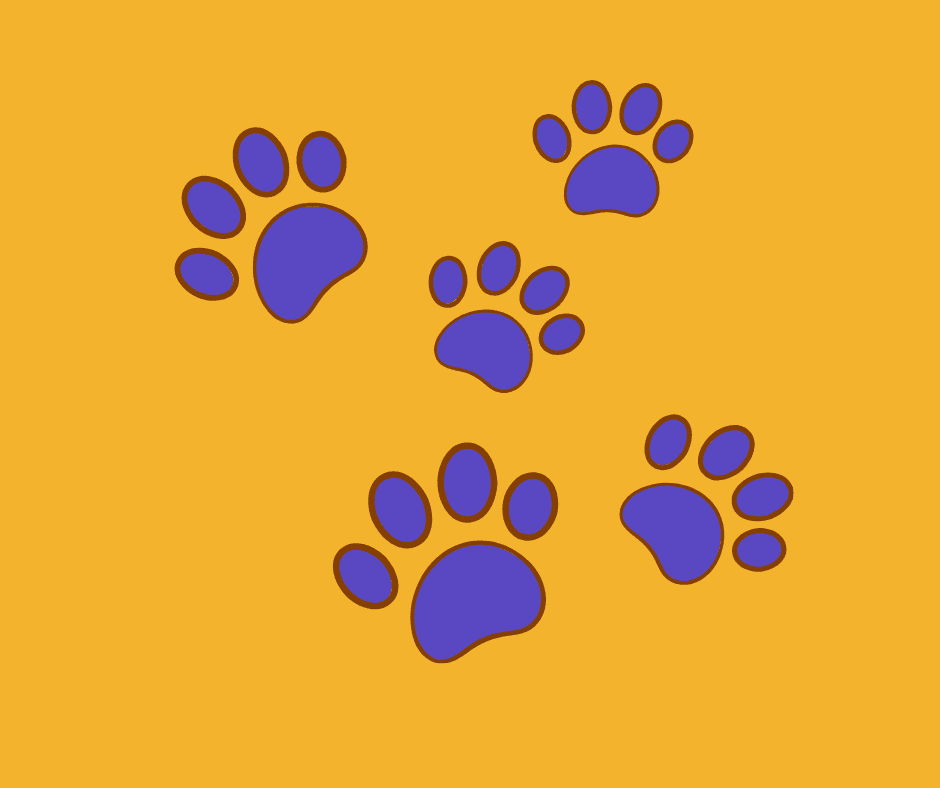 Grow Pet Store Sales: Proven Strategies to Increase Revenue