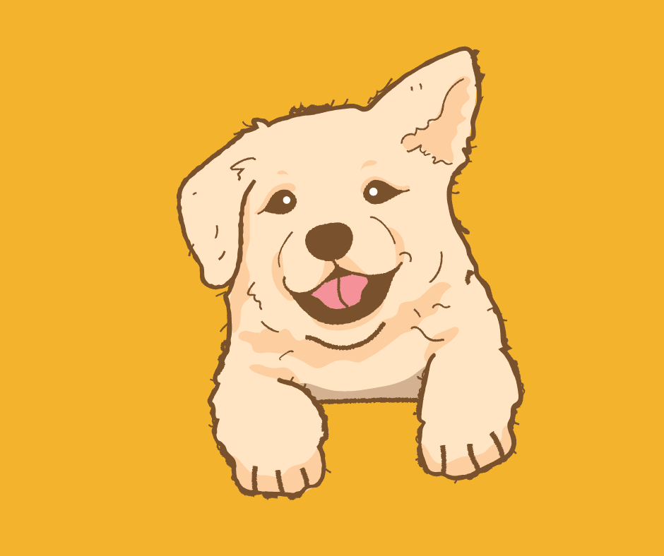 Local Pet Business Marketing: How to Attract More Customers in Your Area