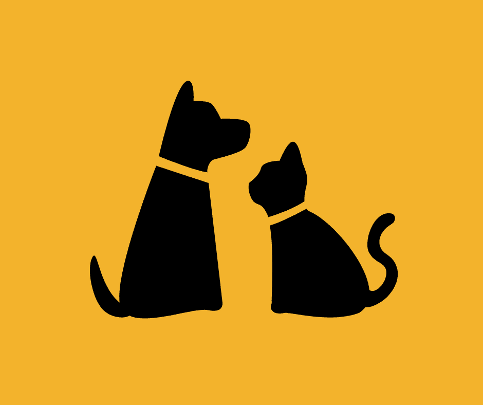 How Pet Businesses Can Increase Repeat Customers