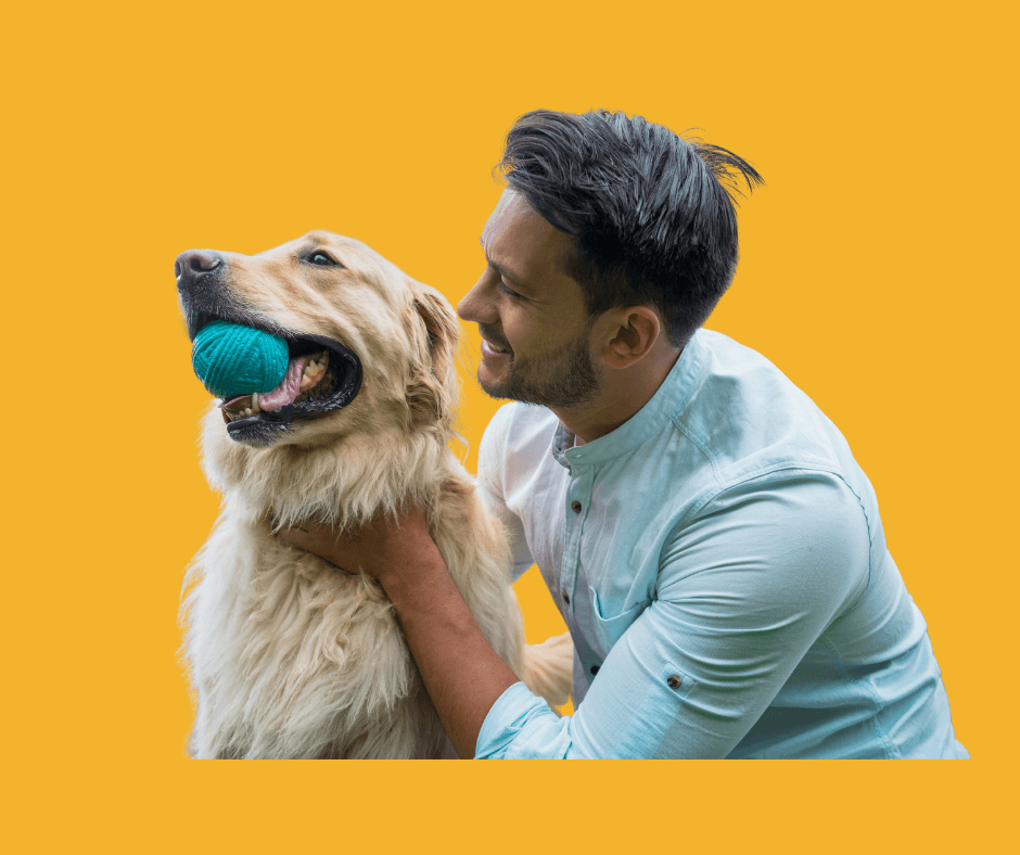 Pet Groomer Jobs: Complete Career Guide, Skills, Salary, and Growth Opportunities