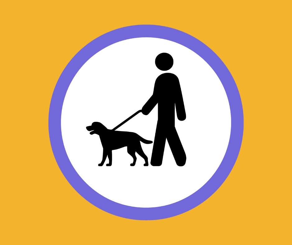 Dog Walker Jobs NYC: How to Start and Find Opportunities in New York City