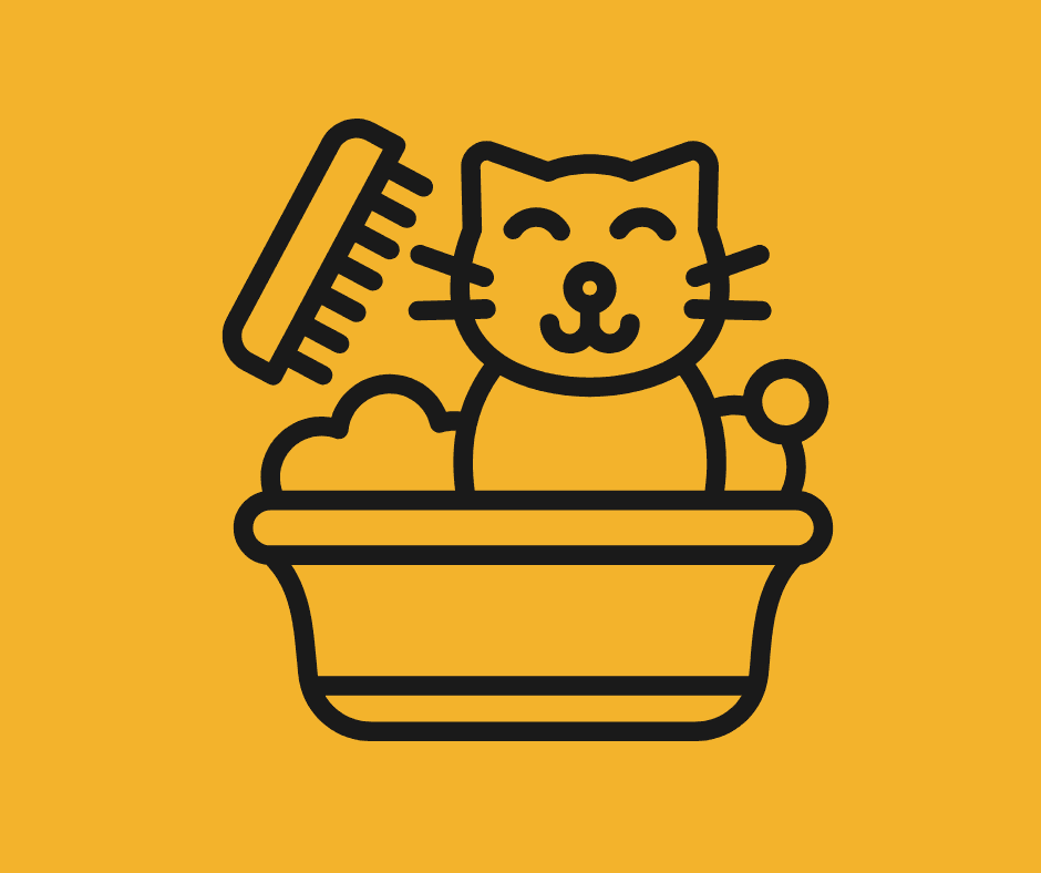 Freelance Pet Groomer Jobs: How to Start and Build a Successful Grooming Career