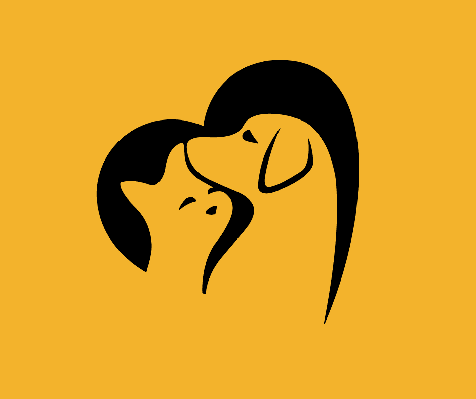 Understanding Different Pet Personalities: A Guide for Pexperts