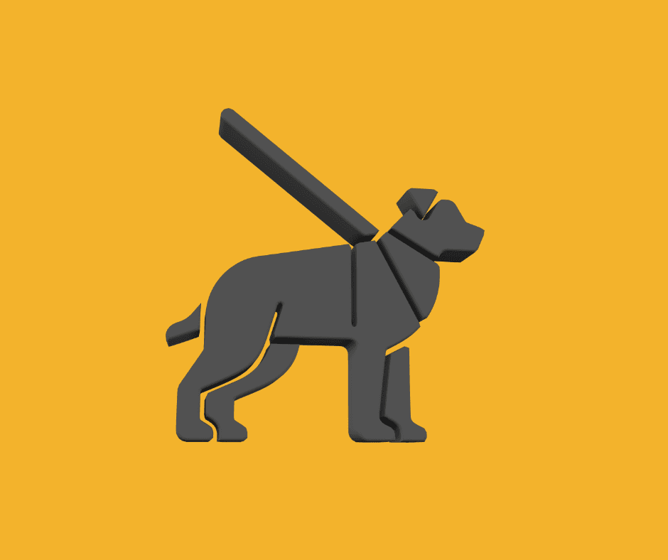 Dog Won’t Eat but Is Acting Normal: What Could Be Going On?