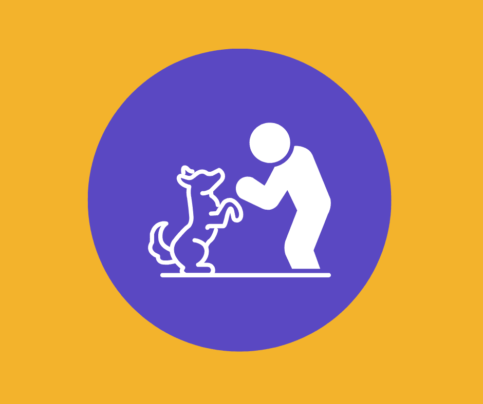How Technology Is Changing the Way We Care for Pets