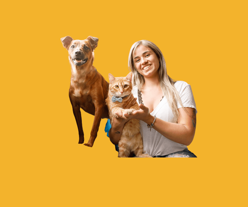 How to Choose the Right Pet Care Service for Your Pet's Needs