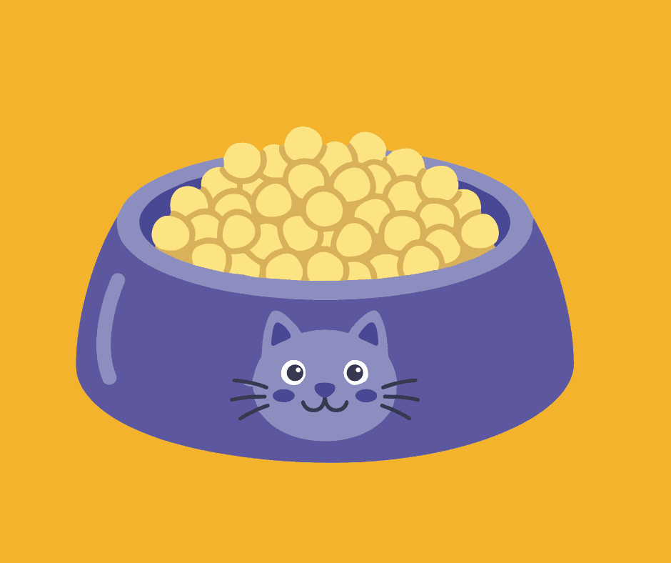 Wet vs. Dry Cat Food — Which Is Better?